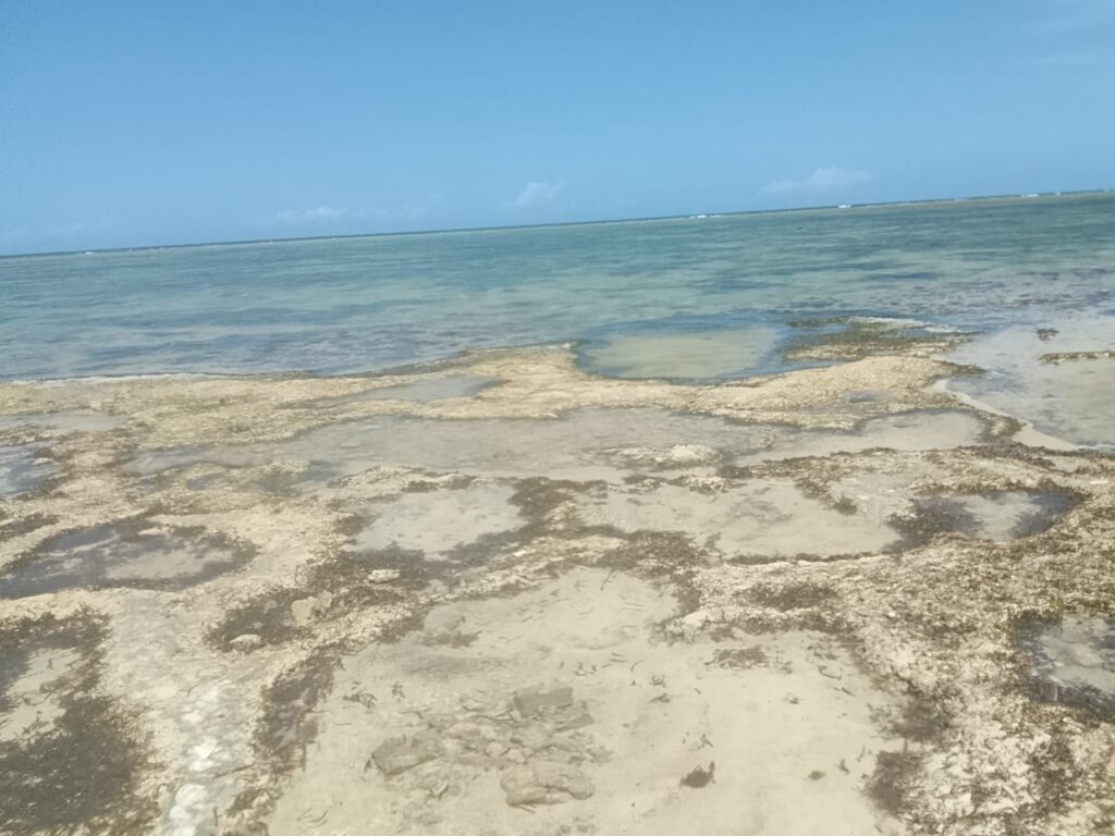 4.5 Acres Beachfront Land for Sale in Diani