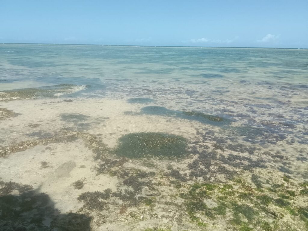 21 Acres Beachfront Land for Sale