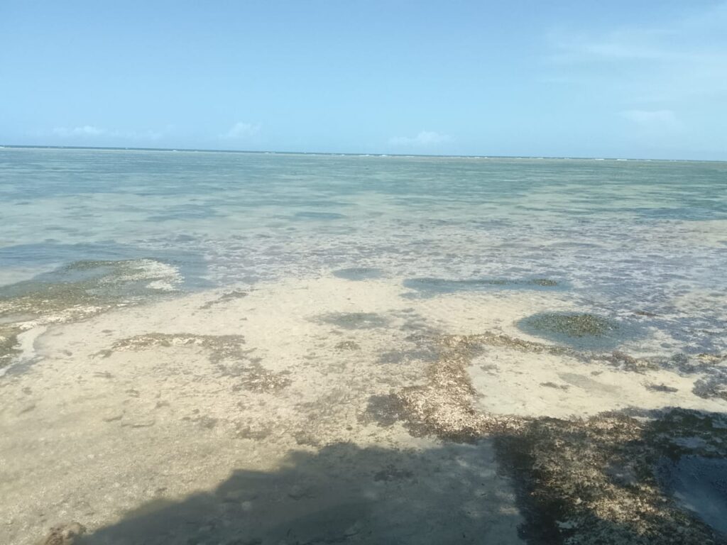 21 Acres Beachfront Land for Sale