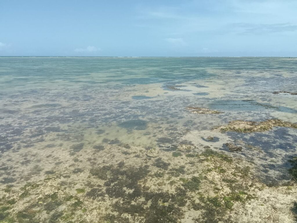 21 Acres Beachfront Land for Sale